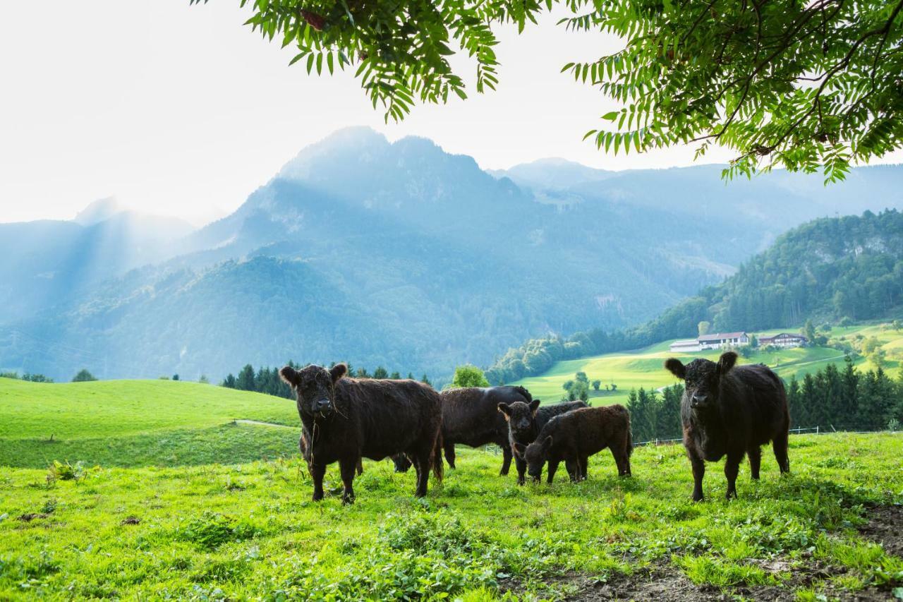 Pension Christoph Kramsach Esterno foto